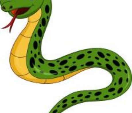 今日属蛇人的运势概览