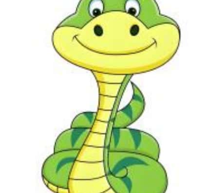 属蛇2025年佩戴什么招财？一篇文章带你了解