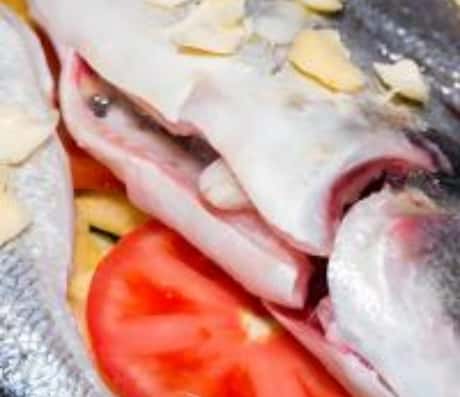 流水与小鱼的梦境