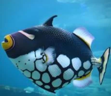 流水与大鱼的梦境