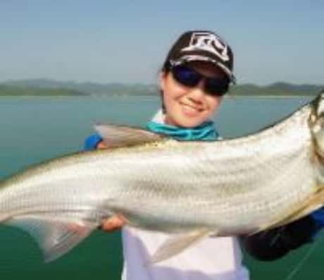 解梦：梦见鱼在水中游