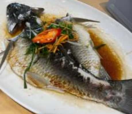 梦到鱼塘逮鱼好不好?