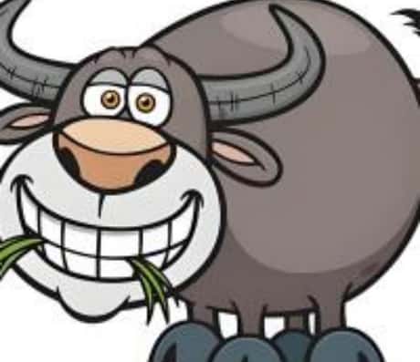 属牛人今日运程卜易居解析