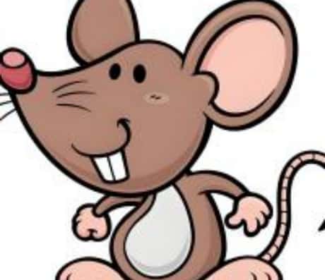 属鼠四月份出生是否吉祥？解读生肖与月份的奥秘