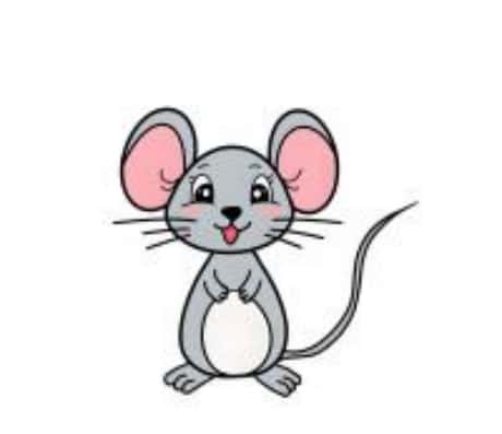 属鼠人每日运程