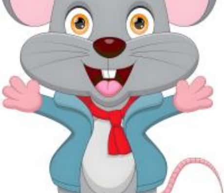 属鼠的每月运势概览