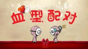 熊猫血处女座在创业路上的优势与挑战