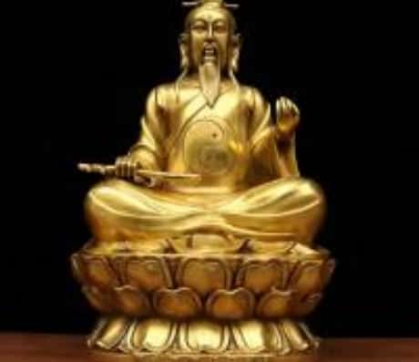 干松塔在客厅中的摆放艺术