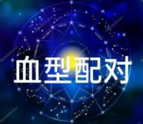 A型血编剧的创作之路