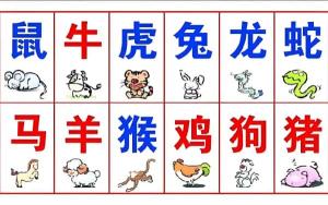 属相配对：真的可信吗？_属相配对_属相配对
