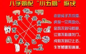 五行的力量：如何利用属相配对_属相配对_属相配对