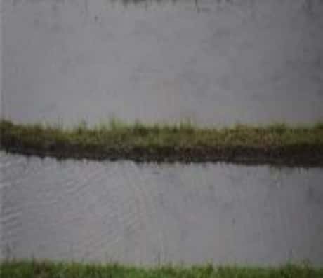 梦见水田里好多的水