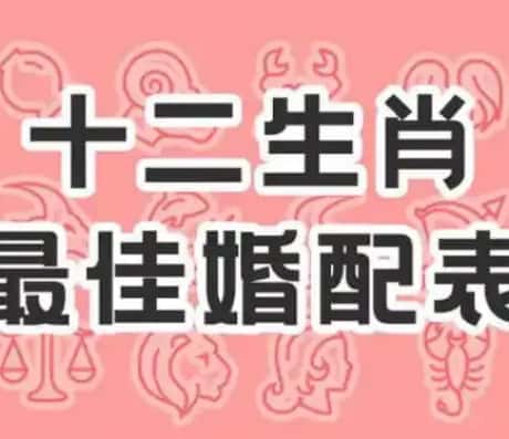 属相配对生肖六合之鼠与猴_属相配对_属相配对_属相配对