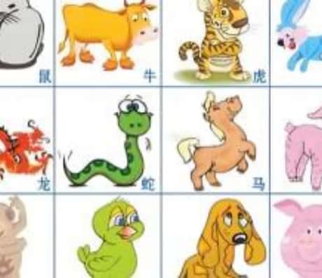 虎配猪的工作发展_属相配对_属相配对_属相配对