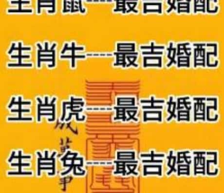 蛇猴相配的情感世界_属相配对_属相配对_属相配对