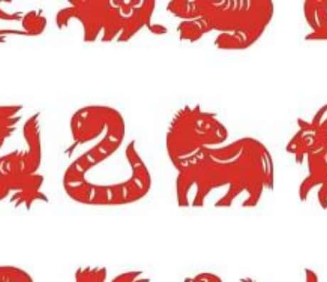 b型血女人的性格特点 B型血女生性格解析