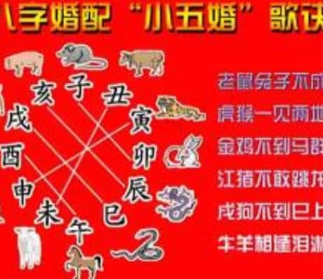 b型血女人的性格特点 B型血女生性格解析