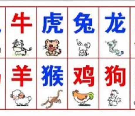 b型血女人的性格特点 B型血女生性格解析