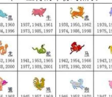 b型血女人的性格特点 B型血女生性格解析