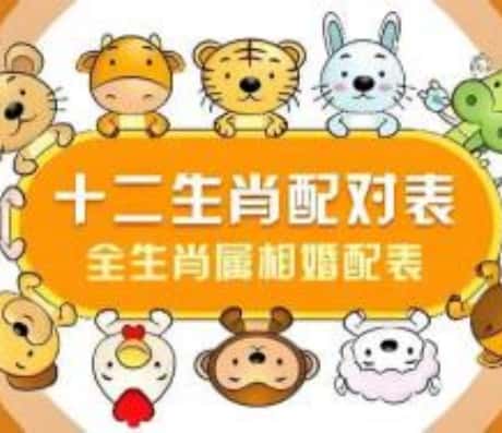 b型血女人的性格特点 B型血女生性格解析