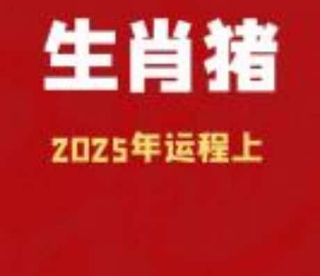 2025年属猪人的运势及运程详解大全