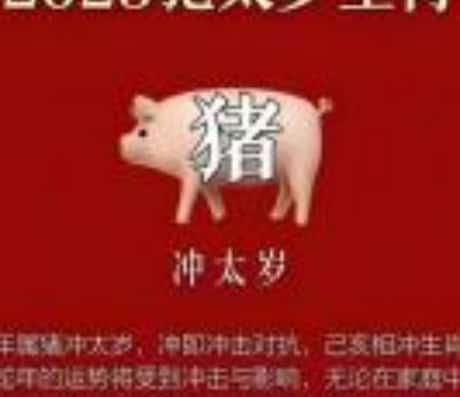 属猪运势2025年运程展望