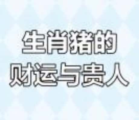 属猪人的最佳运势年份解析