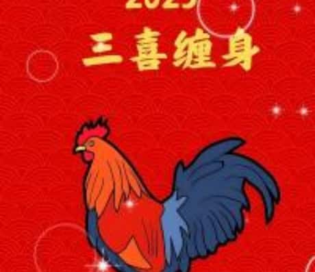 2025年属鸡人的命运解析