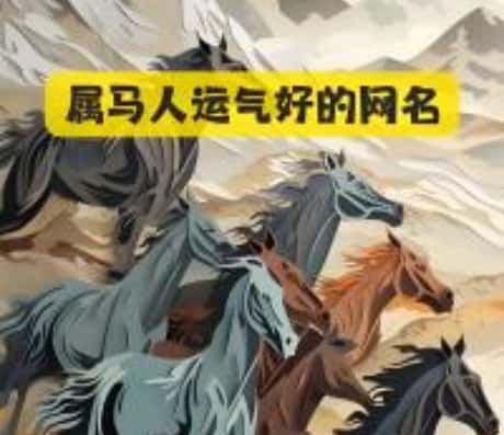 78年属马人明年运势如何