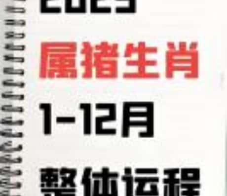 “属猪的危机”：如何化解血光之灾的困扰