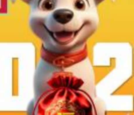 属狗的人2025年运势和财运展望