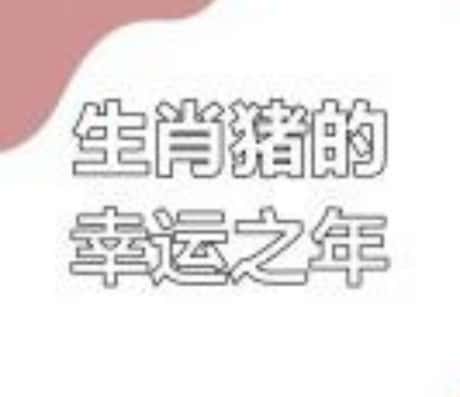 属猪人2025年运势大解析