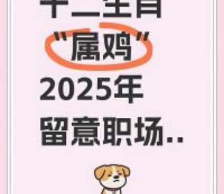 属鸡的人在2025年的运程展望