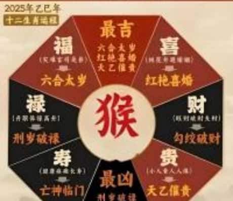 今日属猴女的运势解析