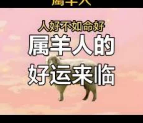 属羊的53岁今年运势分析