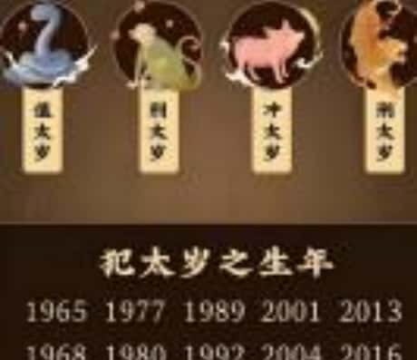 关于生肖猪的灾难和佩戴天珠的话题讨论