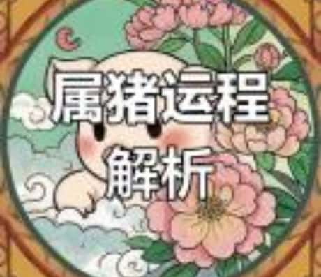 属猪的哪些年份运势较好