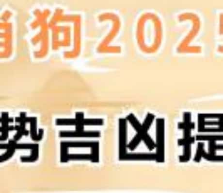 94年属狗运势及运程详解