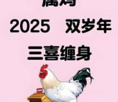 属鸡人2025年运势及运程展望