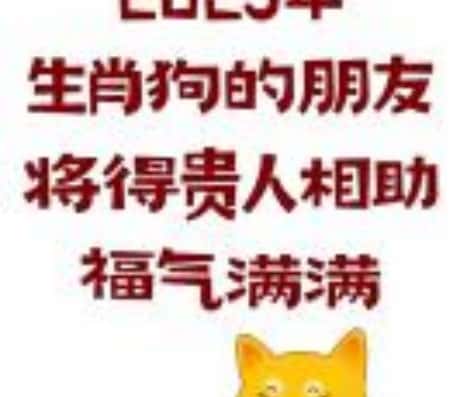 属狗的今年财运如何？