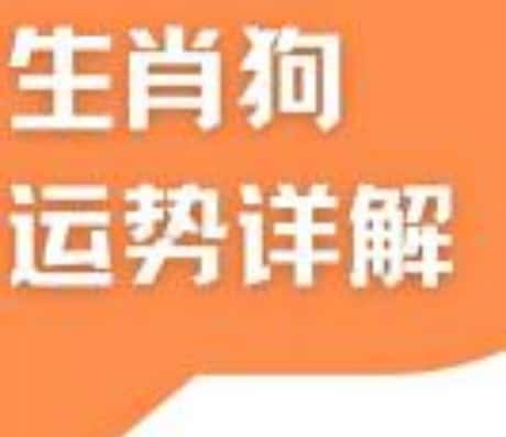 “运”享全年——属狗人在2025年的十月初十运势展望