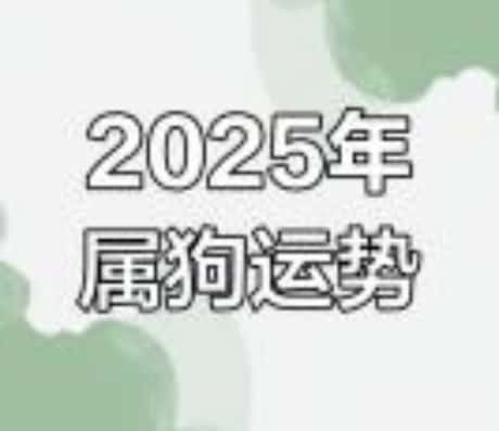 2025年属狗4月运势概览