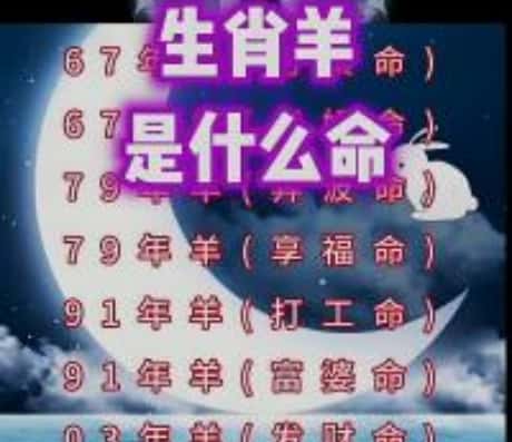 属羊今年有几岁？