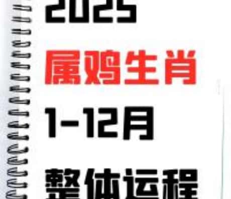 2025年属鸡人的全年运势概览