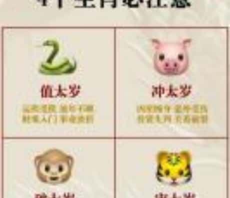 属猪的这个月运势概览