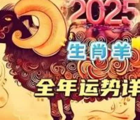91年属羊的人2025年的财运展望