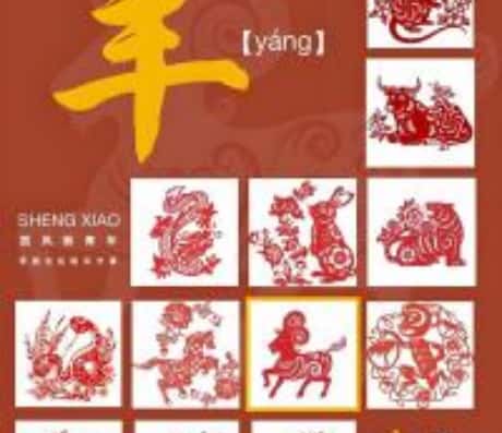 91年属羊男今年运势详解