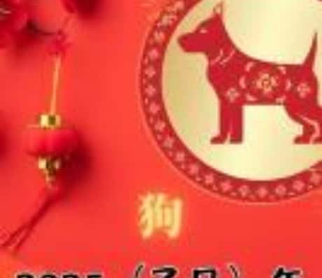 1982年属狗运势完整版概览