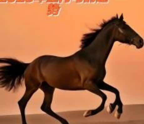 属马的人在4月份的运气展望