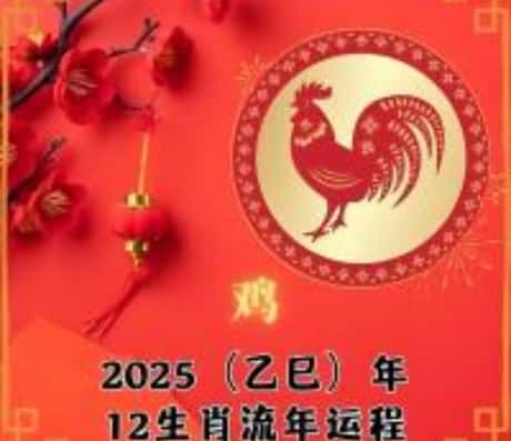 关于属鸡人在2025年的运势分析